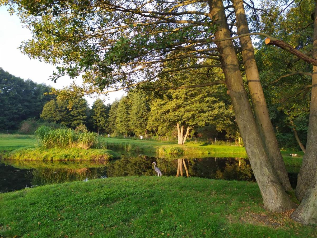 Forglamp Hotel Bydgoszcz Luaran gambar