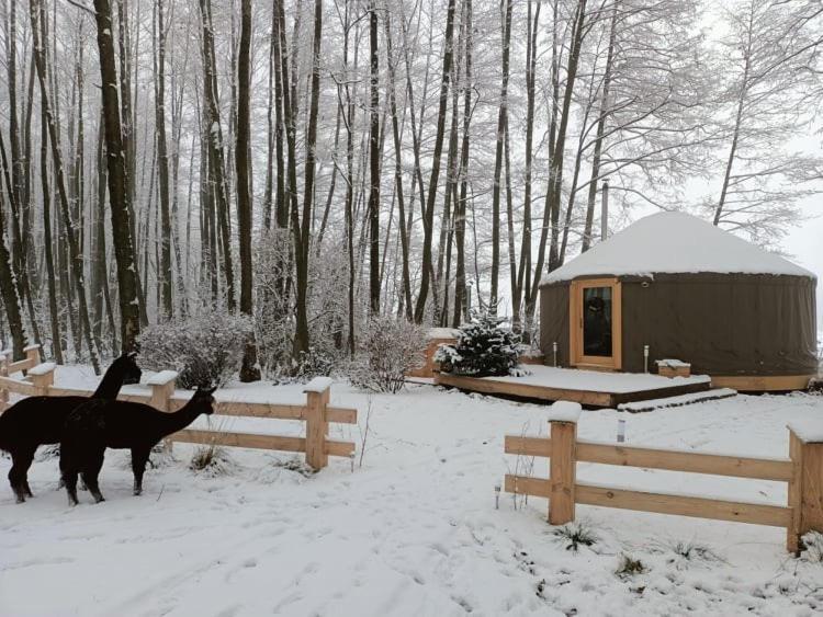 Forglamp Hotel Bydgoszcz Luaran gambar