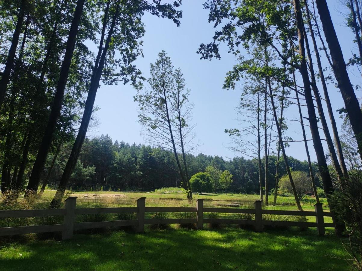 Forglamp Hotel Bydgoszcz Luaran gambar
